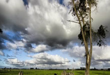 蓝鲸体育:姆巴佩:我们知道球队有一个在点球大战中能带来不同的门将.