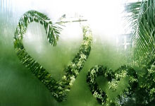 蓝鲸体育:山东泰山已在本赛季亚冠被罚9万美元,还将因提前退赛被至少罚5万美元.